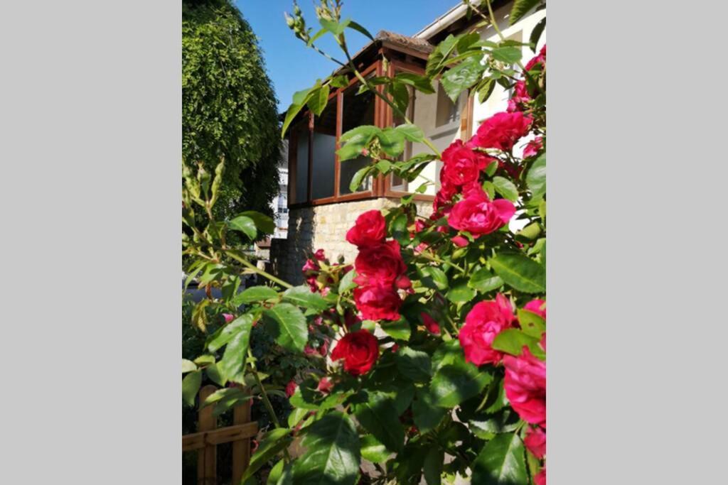 La Roseliere Maison Plain Pied Confortable Belle Decoration Jardin Magnifique 10 Mn A Pied Centre Ville Bayeux Proche Plages Du Debarquement Exterior photo