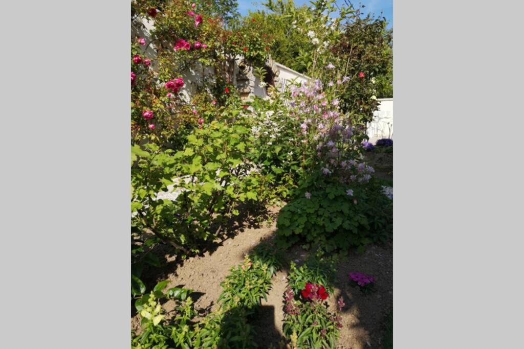 La Roseliere Maison Plain Pied Confortable Belle Decoration Jardin Magnifique 10 Mn A Pied Centre Ville Bayeux Proche Plages Du Debarquement Exterior photo