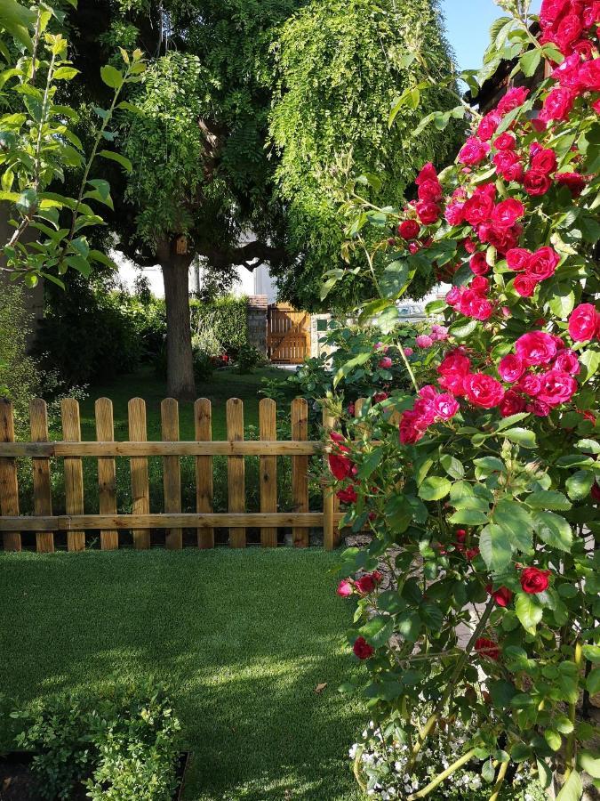 La Roseliere Maison Plain Pied Confortable Belle Decoration Jardin Magnifique 10 Mn A Pied Centre Ville Bayeux Proche Plages Du Debarquement Exterior photo